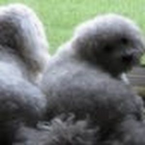 Meet your Posher, Bethany